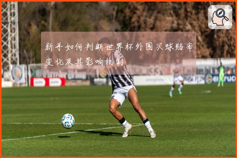 新手如何判断世界杯外围买球赔率变化及其影响机制