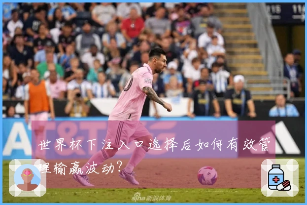 世界杯下注入口选择后如何有效管理输赢波动？