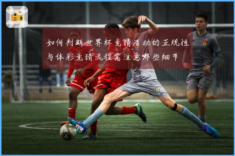 如何判断世界杯竞猜活动的正规性与体彩竞猜流程需注意哪些细节