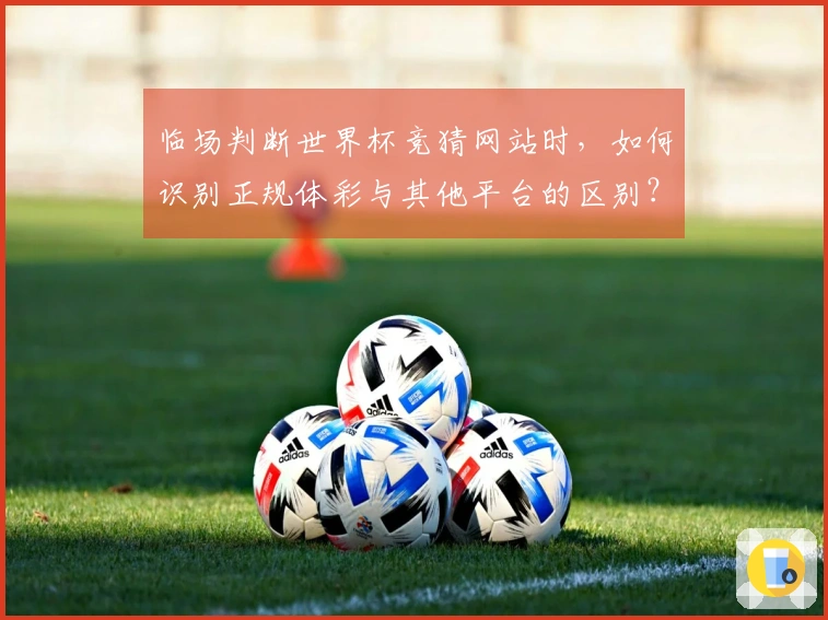临场判断世界杯竞猜网站时，如何识别正规体彩与其他平台的区别？
