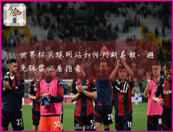 世界杯买球网站如何判断真假，避免踩雷必看指南