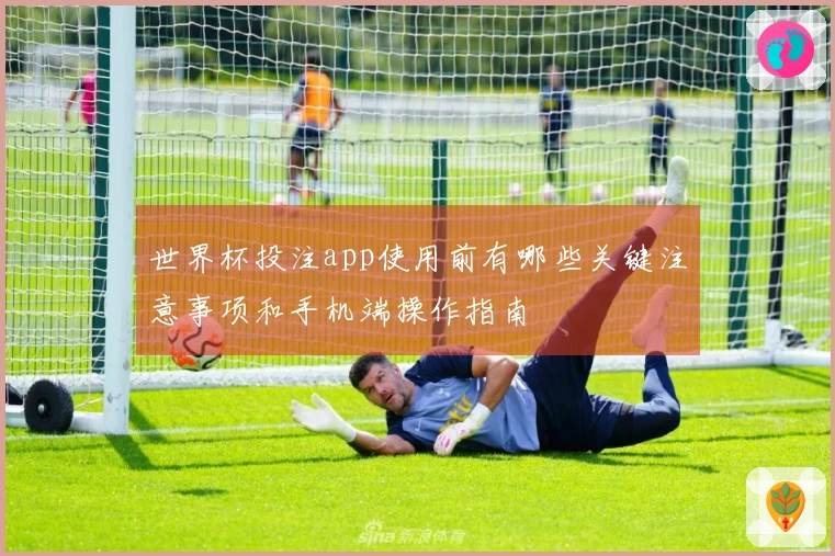 世界杯投注app使用前有哪些关键注意事项和手机端操作指南